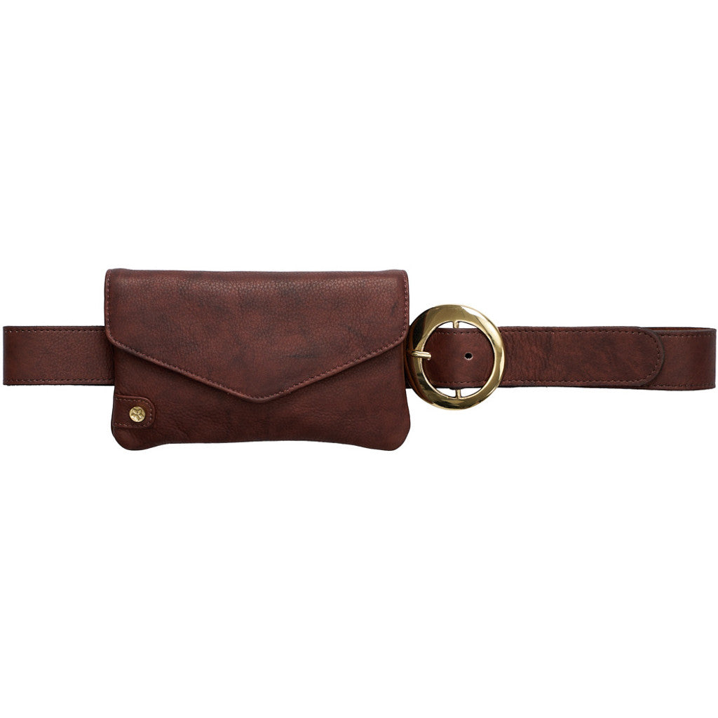 Access T&S Gemma Belt Belt Chokolate-13-gold