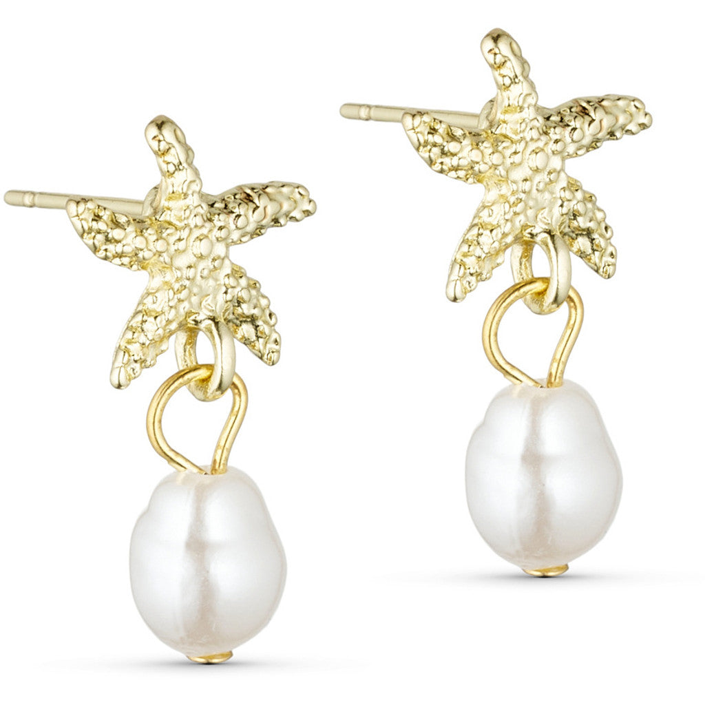 Jewelry T&S Star fish Earring Earring Gold