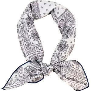 Scarf T&S Ulrika Cotton Scarf Scarf Paisley Blue/white