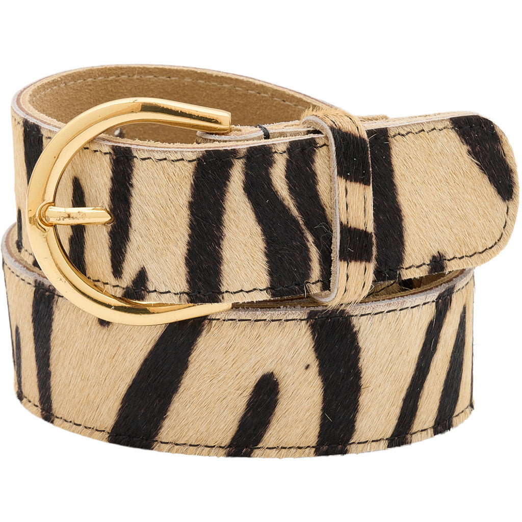 Access T&S Zebra jeans belt Gold Belts Zebra